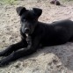 ciro con 4 meses